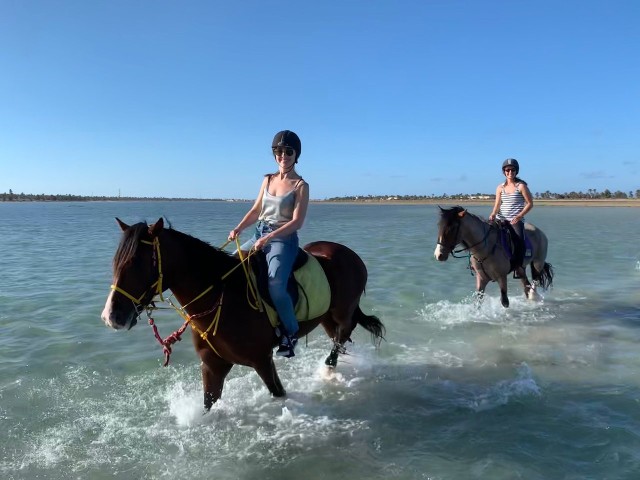 Visit Djerba 2-Hour Lagoon Horse Riding Experience in Ajim, Tunisia
