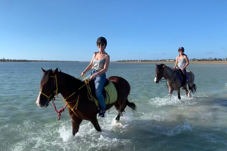 Yerba: Experiencia de 2 horas a caballo por la laguna