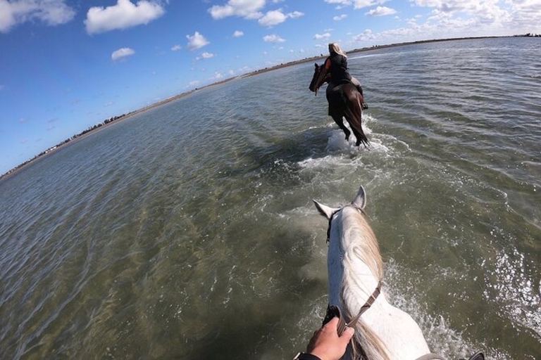 Yerba: Experiencia de 2 horas a caballo por la laguna
