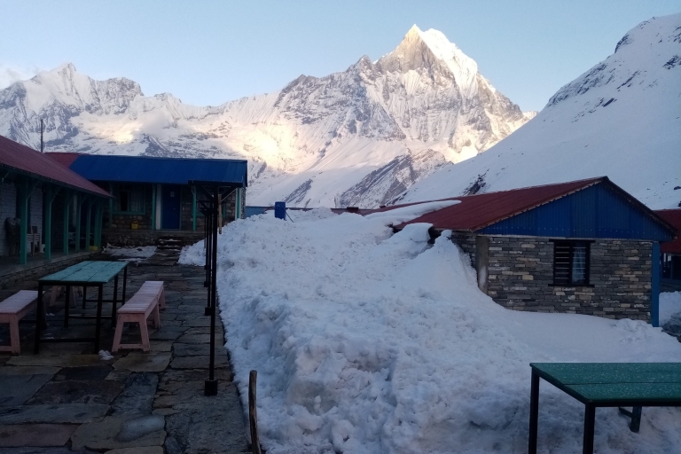 Pokhara : 7 jours et 6 nuits de trekking au camp de base de l'Annapurna