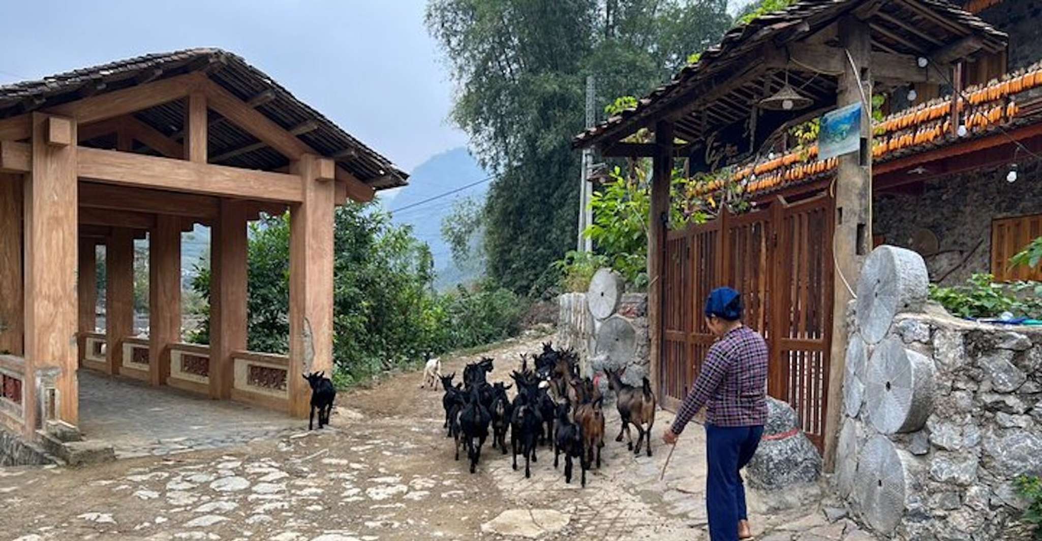 Hanoi, Ban Gioc La chute d'eau au village caché Trekking Tour - Hizvo