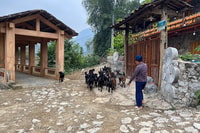 Hanoi, Ban Gioc La chute d'eau au village caché Trekking Tour - Hizvo