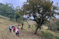 Hanoi, Ban Gioc La chute d'eau au village caché Trekking Tour - Hizvo