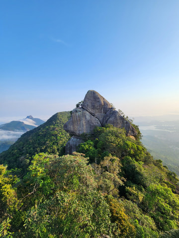 Rio de Janeiro: Papagaio Peak Hike in Tijuca Forest