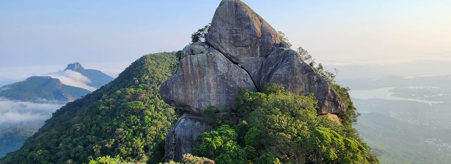 Rio de Janeiro : Randonnée au pic Papagaio dans la forêt de Tijuca