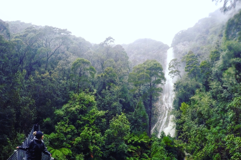 Tasmania: tour guidato di 6 giorni nella natura e nella fauna selvaticaTour con Motel Twin Room