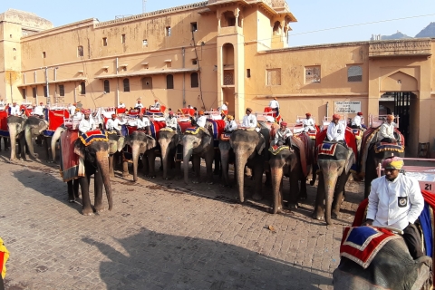 Z Delhi: Jaipur City Highlights Day Tour z przewodnikiemSamochód Ac + Przewodnik + Lunch + Wejście