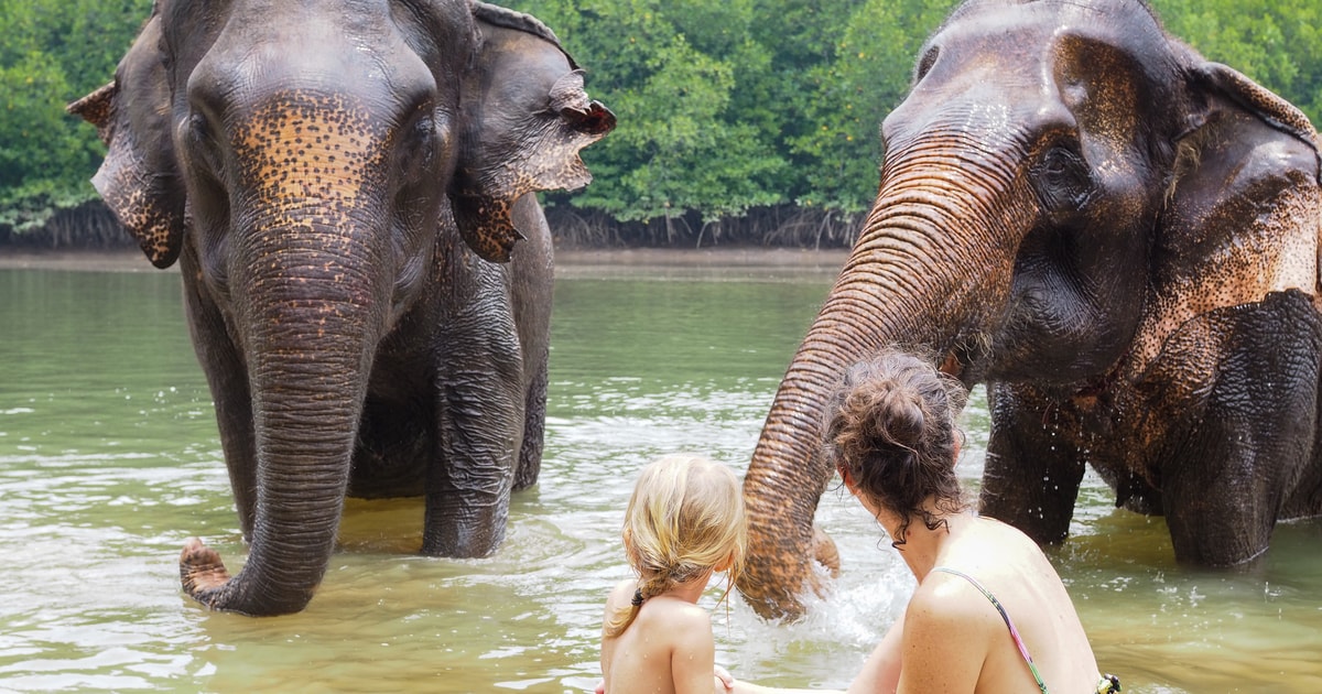 Κράμπι Krabi Elephant Shelter Συνεδρία κολύμβησης ελεφάντων στο Krabi