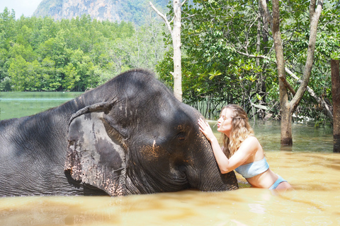 Krabi: Sessão de banho de elefante no abrigo de elefantes de KrabiKrabi: sessão de banho de elefante no Krabi Elephant Shelter