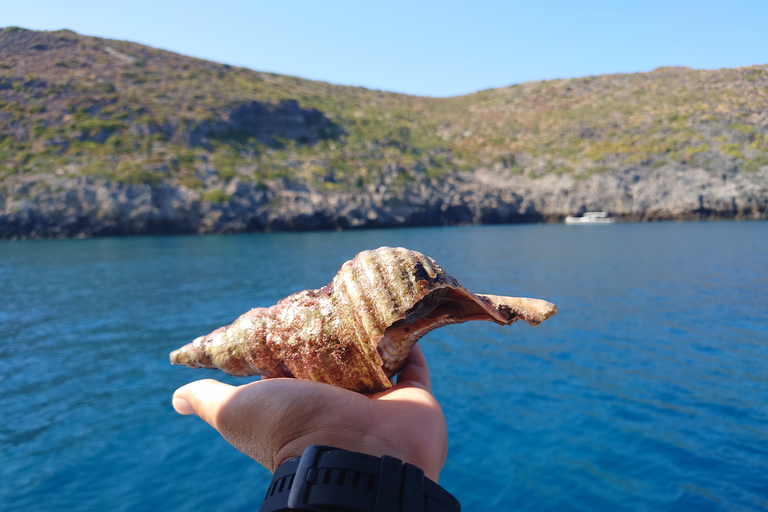 Chania: Boat Cruise to Agioi Theodoroi and Lazaretta Island