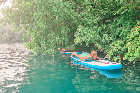 Lake Bled Stand-Up Paddle Boarding Tour