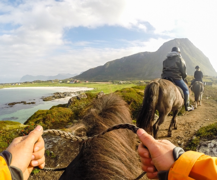 Lofoten: Guided Horse Riding Tour Over Hov and Hovsund