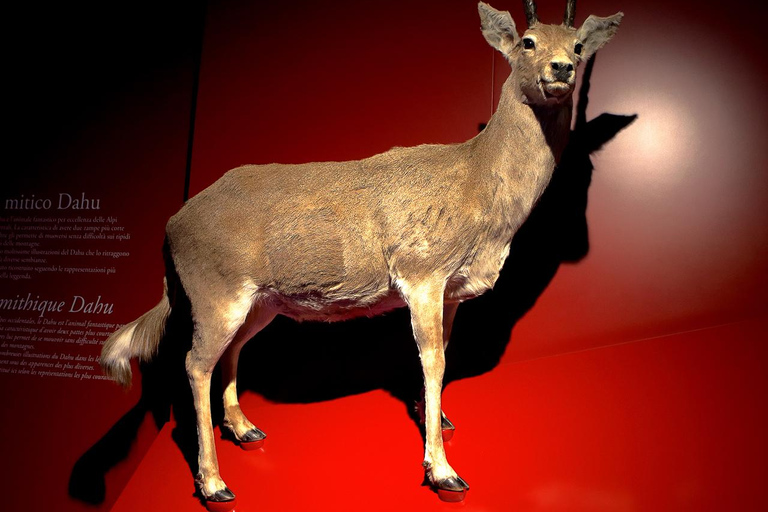 Bard: Fortress Exhibitions and Museums Entrance Bard: Fortress Exhibitions and Museums Entrance and Tour