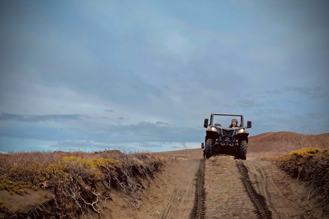 Mývatn: safari z przewodnikiem po jeziorze Mývatn ATV