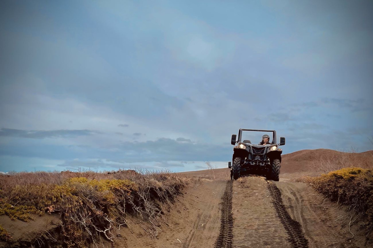 Mývatn: Lake Mývatn ATV guidad safariupplevelse