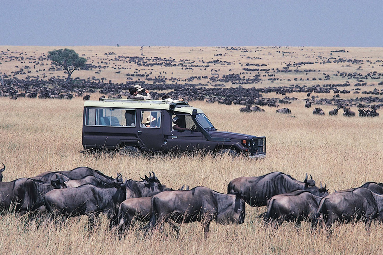 3 jours Masai Mara Migration des gnous Budget Safari- JeepMaasai Mara : 3 jours de safari en jeep pour la migration des gnous