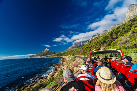 Cape Town: Hop-On Hop-Off Bus Tour with Optional Cruise 1-Day Hop-On Hop-Off Bus Ticket