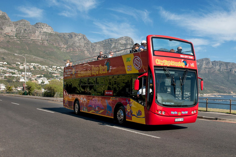 Cape Town: Hop-On Hop-Off Bus Tour with Optional Cruise 1-Day Hop-On Hop-Off Bus Ticket