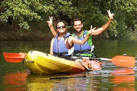 Tarragona: tour guidato in kayak sul fiume Ebro a Miravet