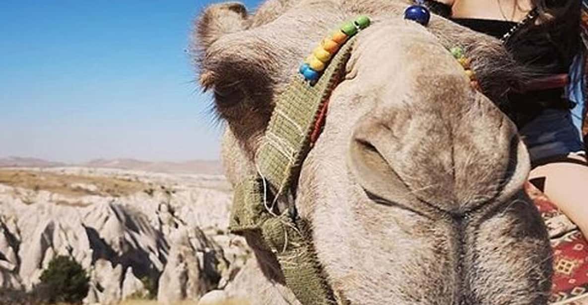 Cappadocia: Camel Ride Tour | GetYourGuide
