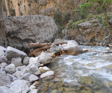 Crete: Samaria Gorge Hiking with transfer and expert Escort
