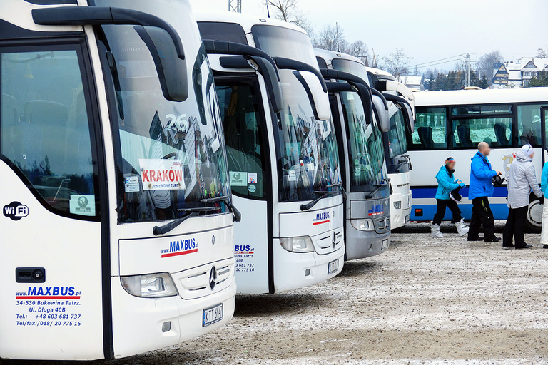 Da Cracovia: trasferimento in autobus da/per ZakopaneSingola da Zakopane a Cracovia