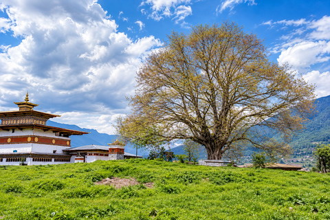 Bhutan: 5-Day Cultural & Scenic Tour with Tiger’s Nest