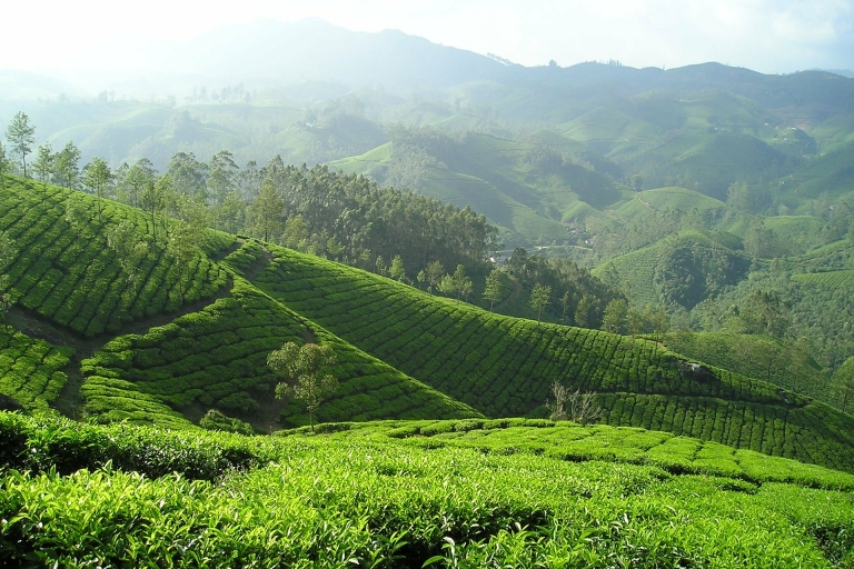 Fascynująca przyroda Sri Lanki i górskie krajobrazy
