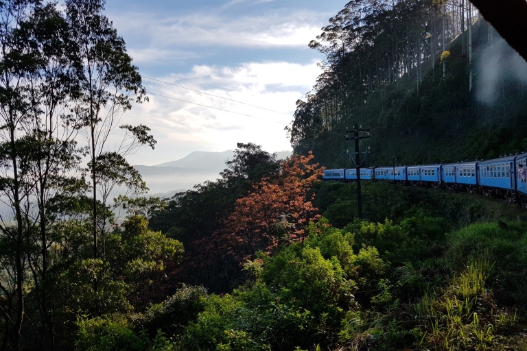 Faune et flore du Sri Lanka, Udawalawe, Sinharaja, train des collinesFaune et flore sauvages du Sri Lanka : visite de 2 jours