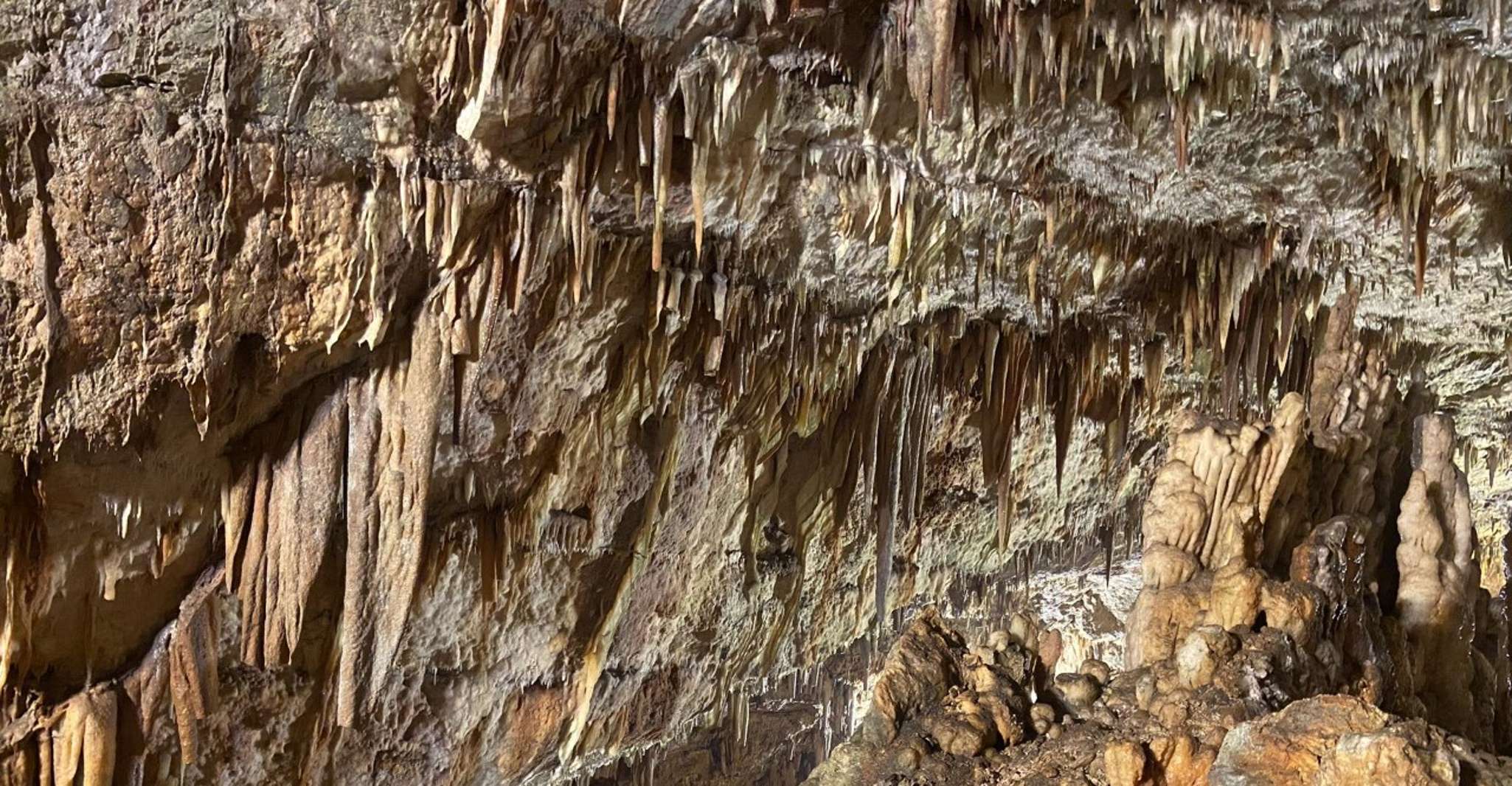 Meilleur de Kefalonia - Hizvo