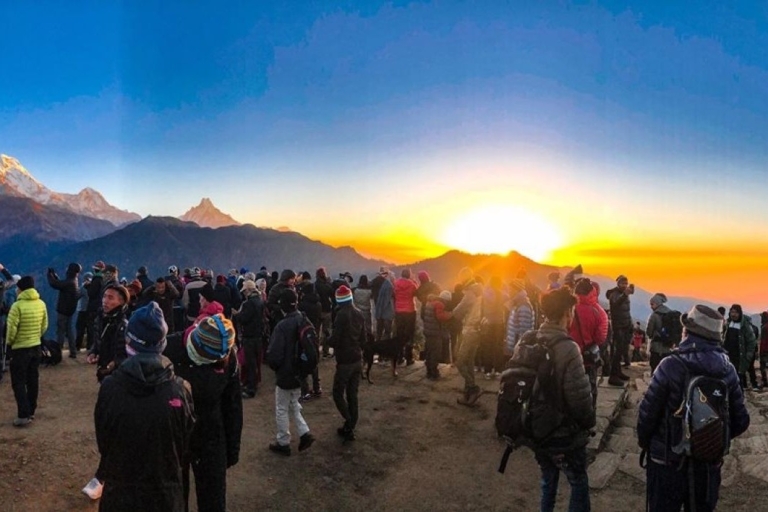 Ghorepani Poonhill Trek desde Pokhara - 4 DíasOpción Estándar