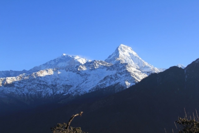 Ghorepani Poonhill Trek au départ de Pokhara - 4 joursOption standard