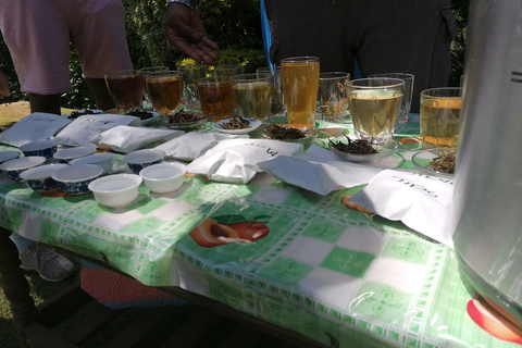 Tour della fattoria del tè viola da Nairobi - Esplora i verdi di GaturaTour della fattoria del tè viola da Nairobi - Esplora Gatura Greens