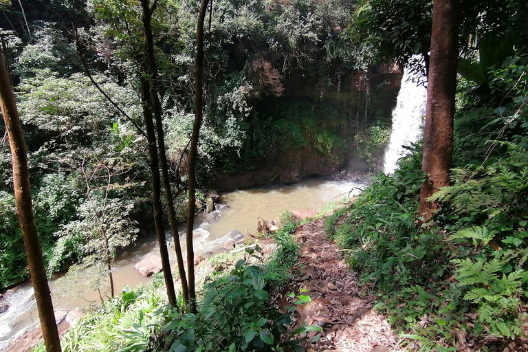 Tour della fattoria del tè viola da Nairobi - Esplora i verdi di GaturaTour della fattoria del tè viola da Nairobi - Esplora Gatura Greens