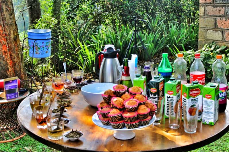 From Nairobi Purple Tea Farm Half Day Tour GetYourGuide