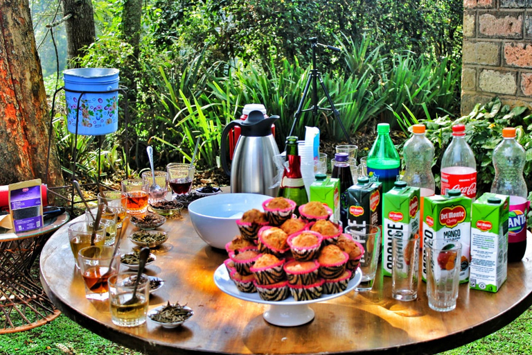 Tour della fattoria del tè viola da Nairobi - Esplora i verdi di GaturaTour della fattoria del tè viola da Nairobi - Esplora Gatura Greens