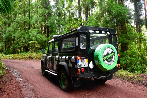 Isola di São Miguel: Tour di un giorno intero di Furnas e del lago di Furnas