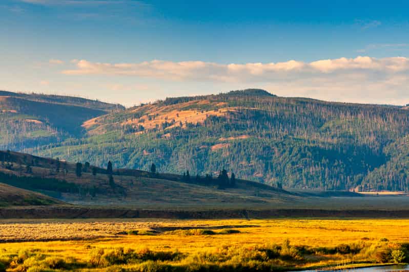 Yellowstone SelfGuided Tour of National Park Highlights GetYourGuide