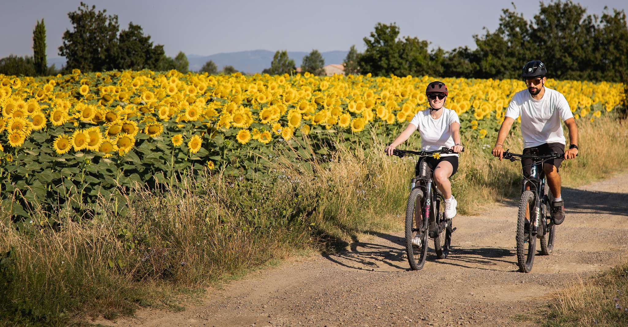 Cortona, Valdichiana Guided eBike Tour + اختيار تذوق النبيذ - Hizvo