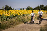 Cortona, Valdichiana Visita guiada en eBike + cata de vinos de opción - Hizvo