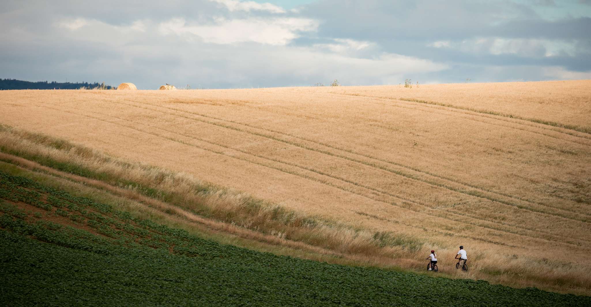 Cortona, Valdichiana Guided eBike Tour + اختيار تذوق النبيذ - Hizvo