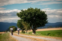 Cortona, Valdichiana Visita guiada en eBike + cata de vinos de opción - Hizvo