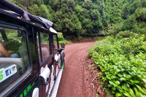 Ilha de São Miguel: Excursão de 1 dia às Furnas e à Lagoa das Furnas