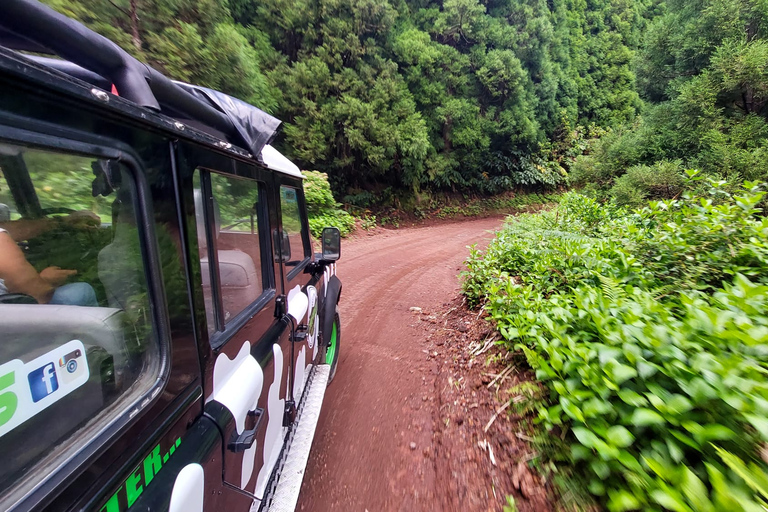 Ilha de São Miguel: Excursão de 1 dia às Furnas e à Lagoa das Furnas