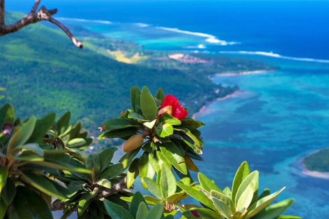 Privéwandeling op de berg Le Morne & lunch bij Ilot Fourneau