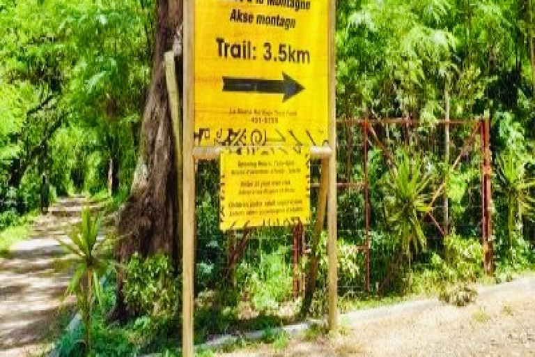 Privéwandeling op de berg Le Morne & lunch bij Ilot Fourneau