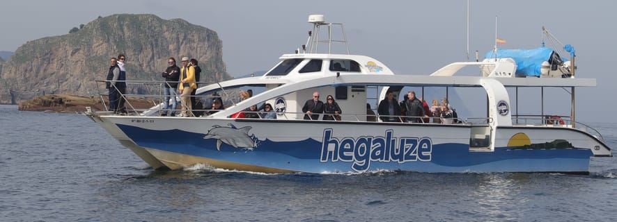 Bermeo: Crucero por el País Vasco a San Juan de Gaztelugatxe