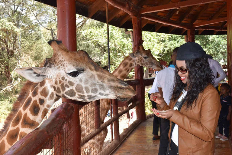 Nairobi: Karen Blixen, Orfanotrofio degli elefanti e Centro delle giraffeNairobi: Karen Blixen, Elephant Orphanage e Giraffe Center