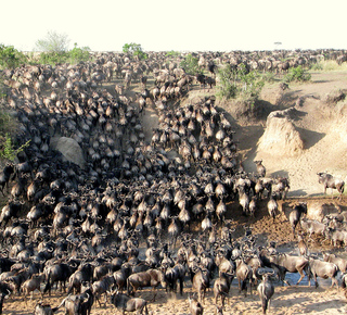 Meerdaagse excursies en trips vanuit Nairobi