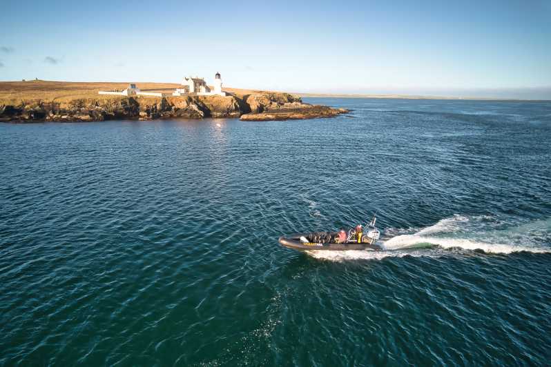 Orkney: Historical and Wildlife Boat Coastal Speedboat Tour